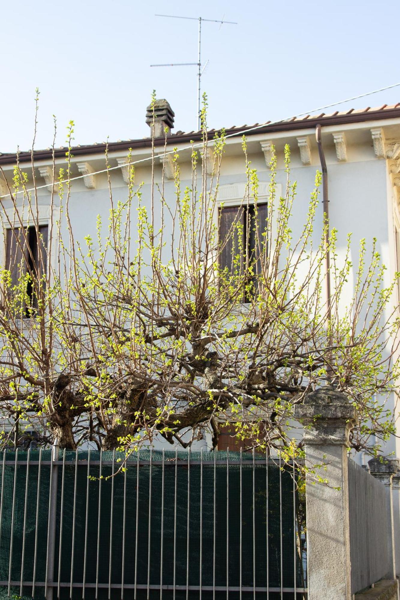 Verona Nest Ngoại thất bức ảnh